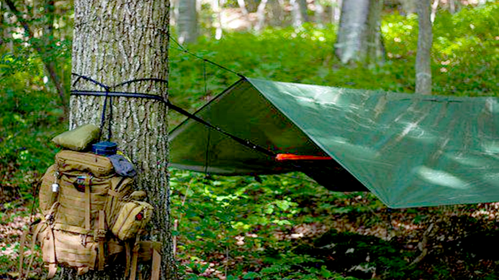 Prepared-website Are You {re[ared?